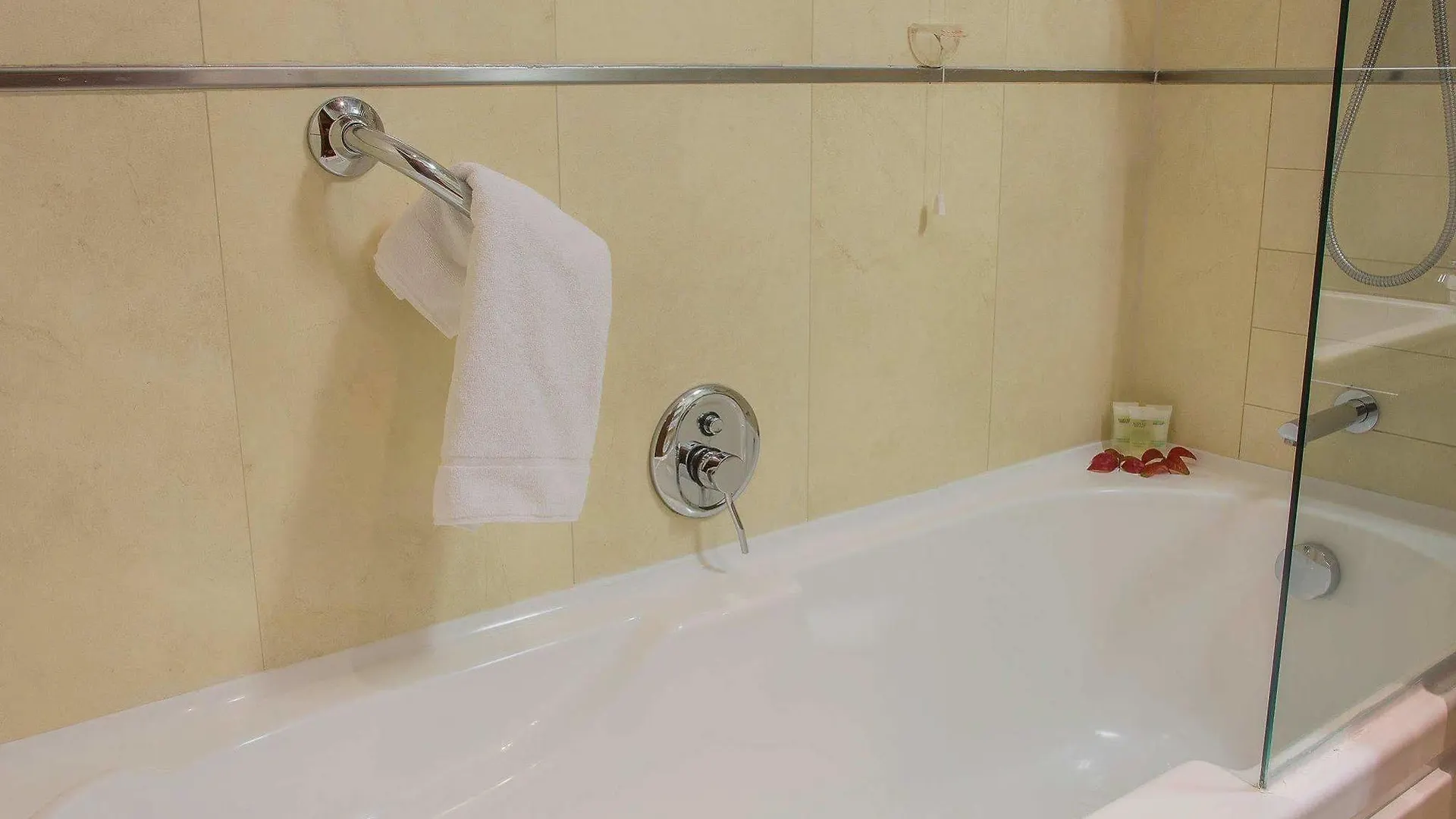 מלון טסרה Courtyard By Marriott Venice Airport